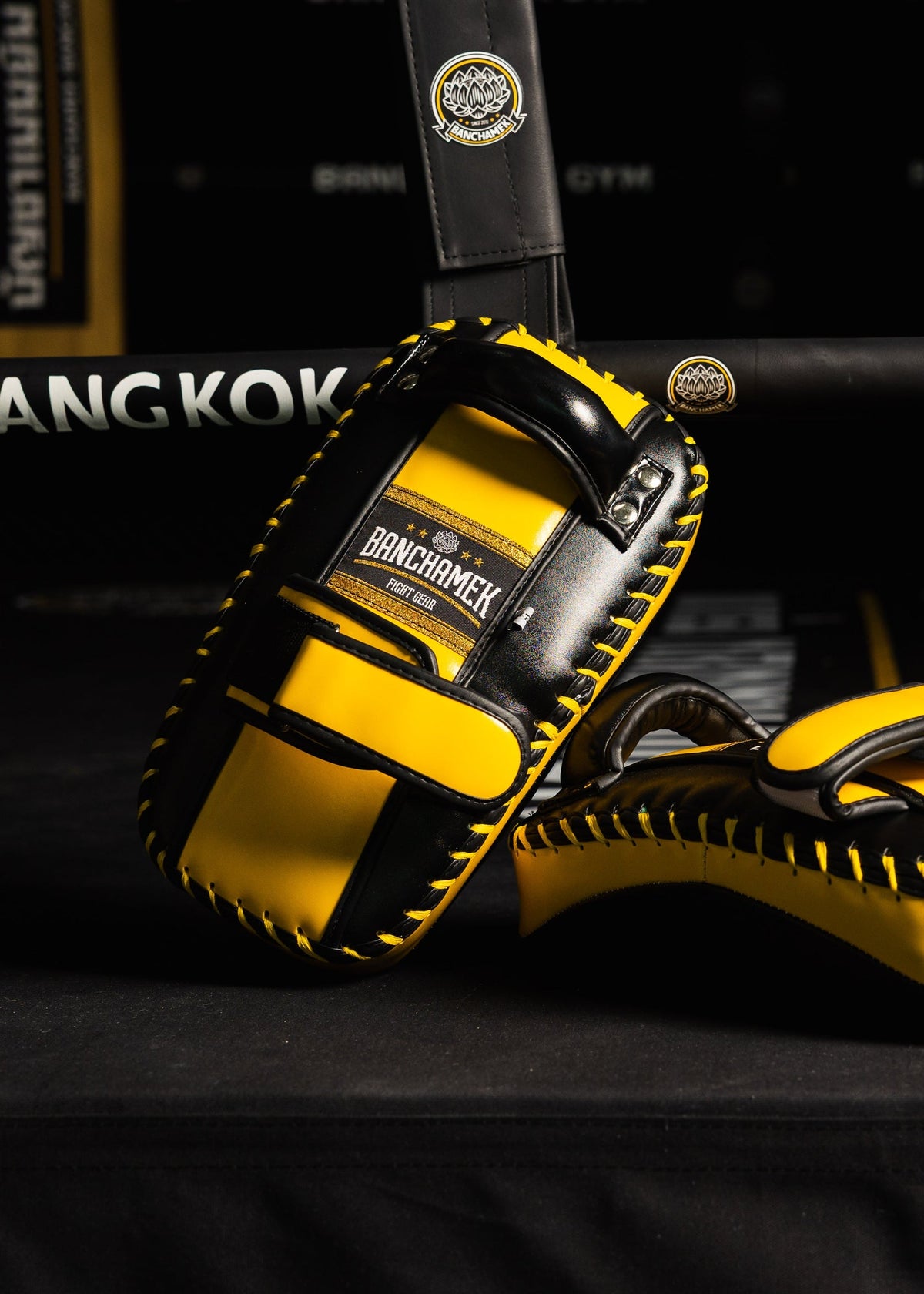 Banchamek Curved Short Kick Pad