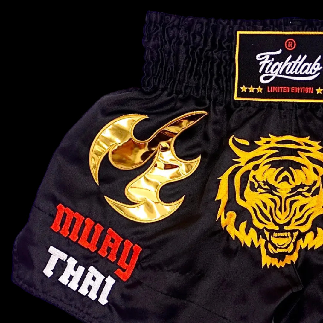 Fightlab King of Boxing Muay Thai Shorts front view